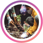Plant a tree story image