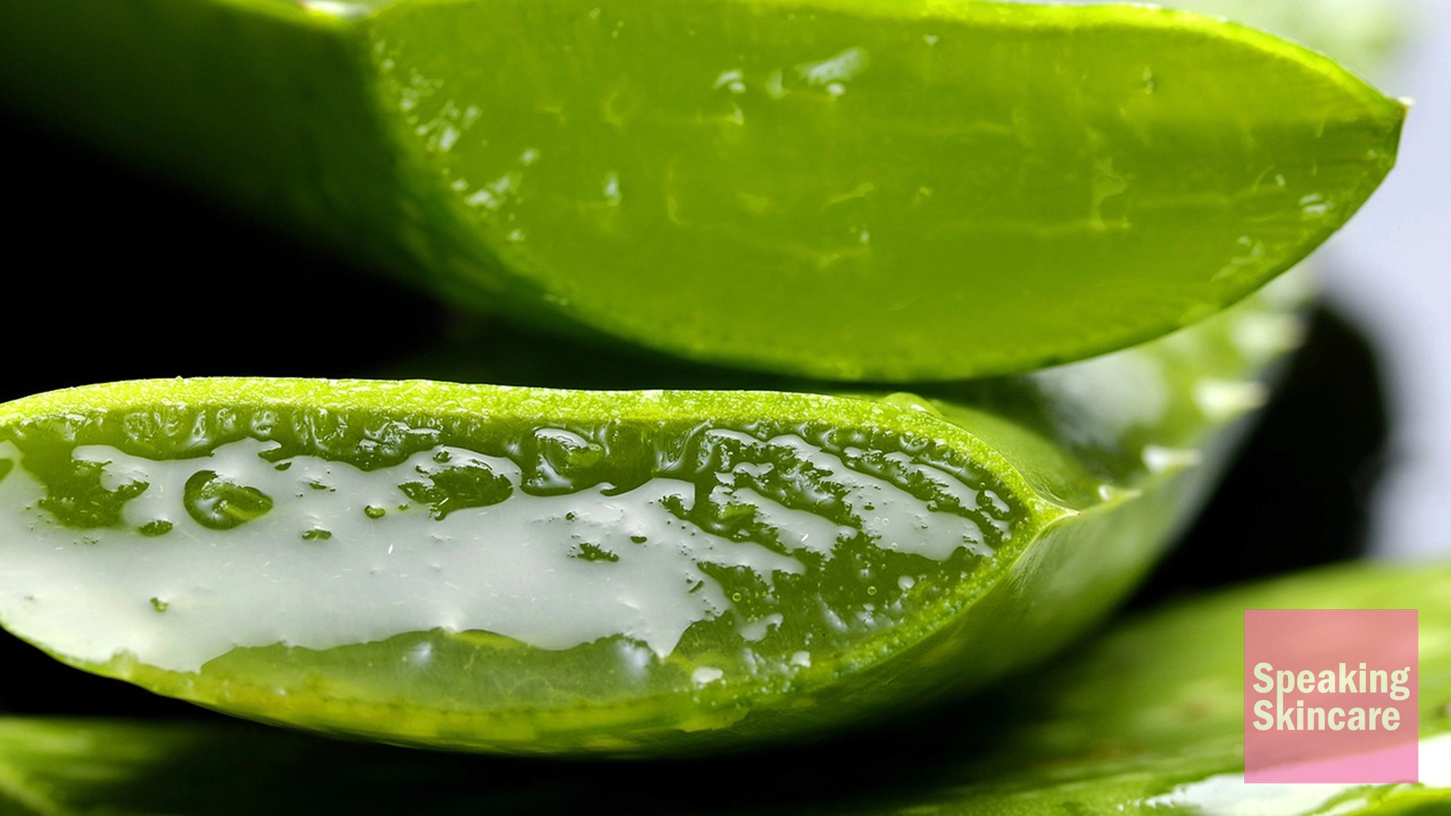 how to use aloe vera