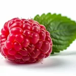 raspberry extract skincare ingredient